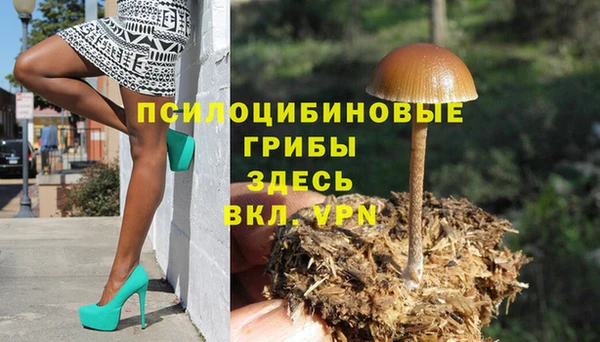 сатива Козельск