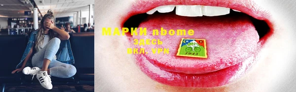 сатива Козельск