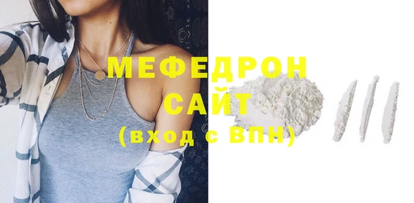 индика Киреевск