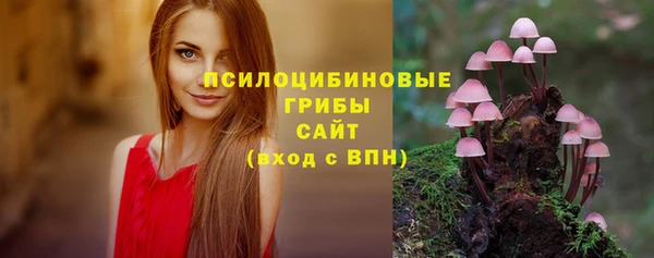 сатива Козельск