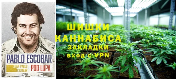 прущие грибы Костерёво