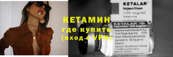 сатива Козельск