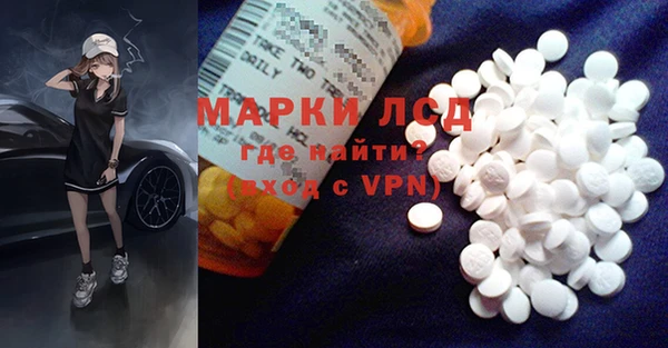 прущие грибы Кодинск