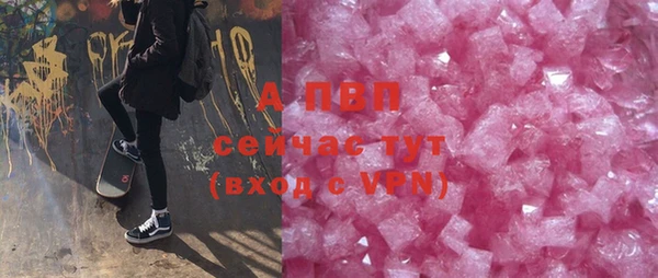 сатива Козельск