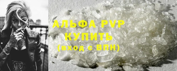 сатива Козельск