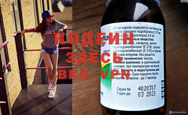 прущие грибы Кодинск